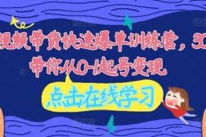 2024视频带货快速爆单训练营，30天带你从0-1起号变现