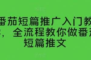 番茄短篇推广入门教学，全流程教你做番茄短篇推文