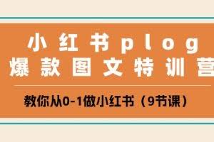 小红书plog爆款图文特训营，教你从0-1做小红书（9节课）