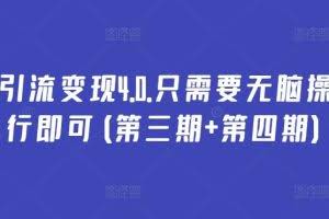 万能引流变现4.0.只需要无脑操作执行即可(第三期+第四期)