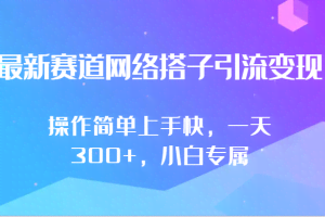 最新赛道网络搭子引流变现!!操作简单上手快，一天300+，小白专属