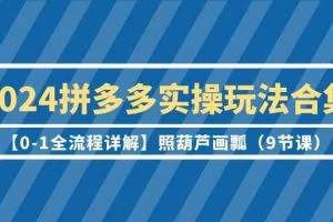 2024拼多多实操玩法合集【0-1全流程详解】照葫芦画瓢（9节课）