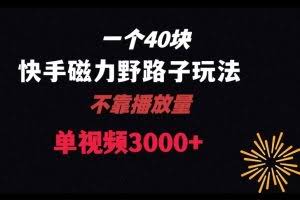 一个40块，快手联合美团磁力新玩法，无视机制野路子玩法，单视频收益4位数【揭秘】