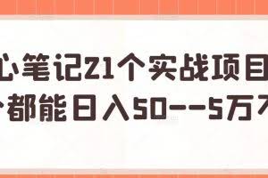 三心笔记21个实战项目，每个都能日入50–5万不等