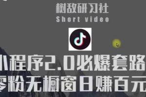 树敌研习社6月抖音赚钱课程：抖音小程序2.0必爆套路零粉无橱窗日赚百元玩法