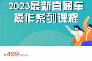 2023最新引力魔方系列课程，如何利用直通车去冲销量