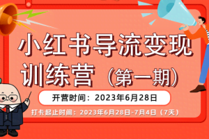 小红书导流变现营，一线实操实战团队总结，真正实战，全是细节！
