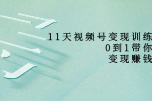 11天视频号变现训练营，从0到1打造变现赚钱系统（价值398元）