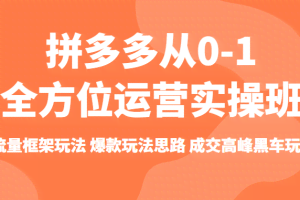 拼多多从0-1全方位运营实操班 流量框架玩法 爆款玩法思路 成交高峰黑车玩法