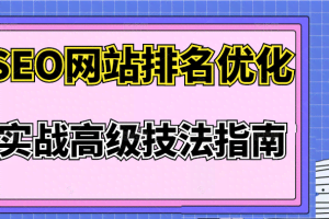 SEO网站排名优化实战高级技法指南，价值3980元