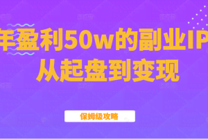某公众号付费文章：年盈利50w的副业IP从起盘到变现的保姆级攻略（黑）