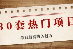 30套热门项目：单日最高收入过万 (网赚项目、朋友圈、涨粉套路、抖音、快手)等！