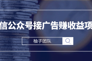 微信公众号接广告赚收益，新手零基础也能操作月入万元的项目【视频课程】