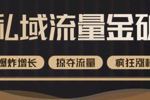 价值2200元私域流量的金矿，循环获取各大媒体精准流量，无限复制网红的精准流量！