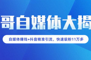 准哥自媒体大揭秘：自媒体赚钱+抖音精准引流，新手小白快速吸粉11万多