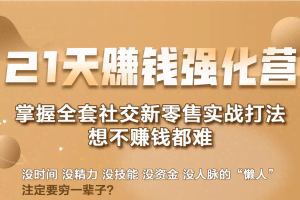 21天赚钱强化营，掌握全套社交新零售实战打法，赚回N倍学员（完结）