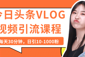 今日头条VLOG视频引流课程：每天30分钟，日引10-1000粉（完结）