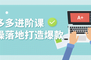拼多多高手实战运营进阶课，自营拼多多日均单量5000+，日入15W+