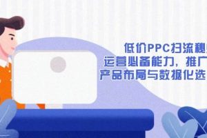 （13879期）低价PPC扫流秘籍：运营必备能力, 推广基础, 产品布局与数据化选款详解