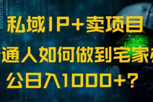 （14400期）私域IP+卖项目，普通人如何做到宅家办公实现日入1000+