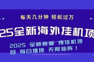 （14340期）2025最新海外挂机项目：每天几分钟，轻松月入过万