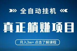 全自动挂机项目 月入3w+ 真正躺平项目 不吃电脑配置 当天见收益