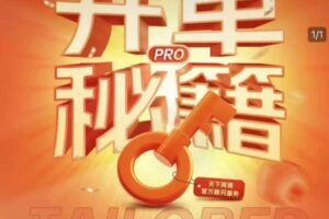 淘宝开单秘籍PRO，量身定制淘天实战陪跑计划，告别做店迷茫、快速突破运营瓶颈期（更新）