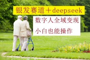 银发赛道+deepseek数字人全域变现，小白也能操作