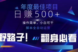 云机全自动答题日赚500+，轻松实现睡后收益，操作简单，2025最新野路子，翻身必看