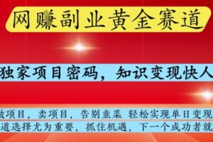 网创副业黄全赛道，掌握独家项目密码，知识变现快人一步，告别韭菜轻松实现单日变现1k+【揭秘】