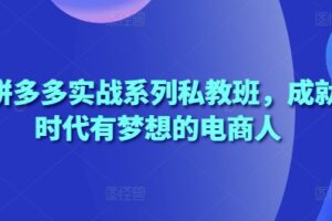 2025拼多多实战系列私教班，成就这个时代有梦想的电商人