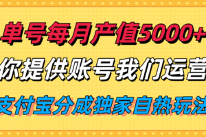 单月产值5000+，支付宝分成代运营，你提供账号坐等分钱，我们帮你运营