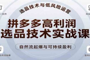 拼多多高利润选品技术实战课，手把手教学自然流高投产起爆，实现低风险可持续盈利