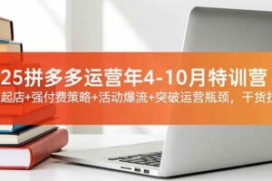（16642期）2025拼多多运营年4-10月特训营：暴力起店+强付费策略+活动爆流+突破运营瓶颈，干货拉满