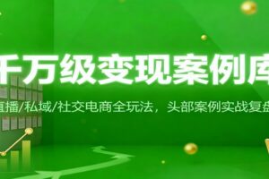 千万级变现案例库：直播/私域/社交电商全玩法，200+头部案例实战复盘