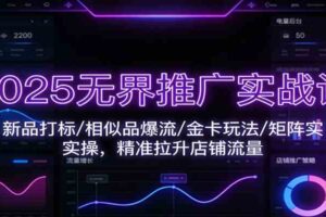 2025无界推广实战课:新品打标/相似品爆流/金卡玩法/矩阵实操,精准拉升店铺流量