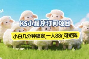 小程序订阅项目_小白几分钟搞定,一人88米,可矩阵(已测到账)