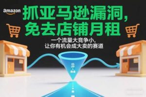 抓亚马逊漏洞，免去店铺月租，一个流量大竞争小，让你有机会成大卖的赛道