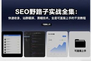 SEO野路子实战全集：快速收录、站群霸屏、黑帽技术，全是可直接上手的干货教程