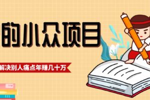 一直都很火的小众项目,抓住应届生求职痛点,这个小众项目年入几十万的底层逻辑