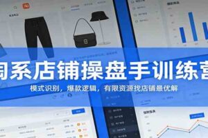 淘系店铺操盘手训练营:模式识别,爆款逻辑,有限资源找店铺最优解