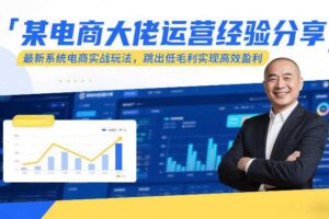 某电商大佬运营经验分享,最新系统电商实战玩法,跳出低毛利实现高效盈利